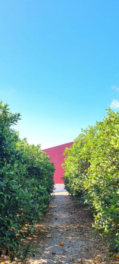 Quinta Dos I'S - Algarve Villa Ferrarias  Exterior photo