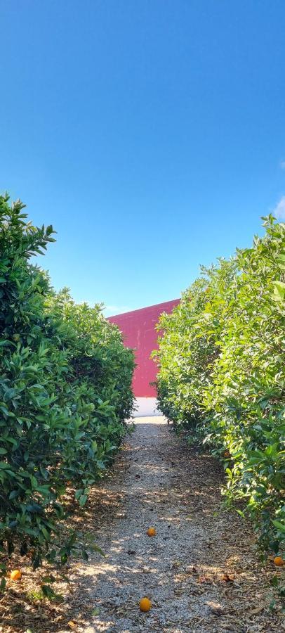 Quinta Dos I'S - Algarve Villa Ferrarias  Exterior photo